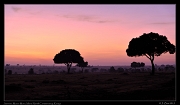  Sunrise, Masai Mara, Kenya � J. Zinn