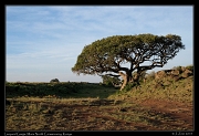  Leopard Gorge, Masai Mara, Kenya � J. Zinn
