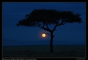  Moonrise over the Mara, Masai Mara, Kenya � J. Zinn