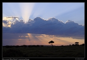  Mara Sunset, Masai Mara, Kenya � J. Zinn