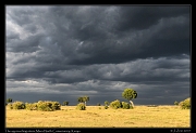  Approaching storm, Masai Mara, Kenya � J. Zinn