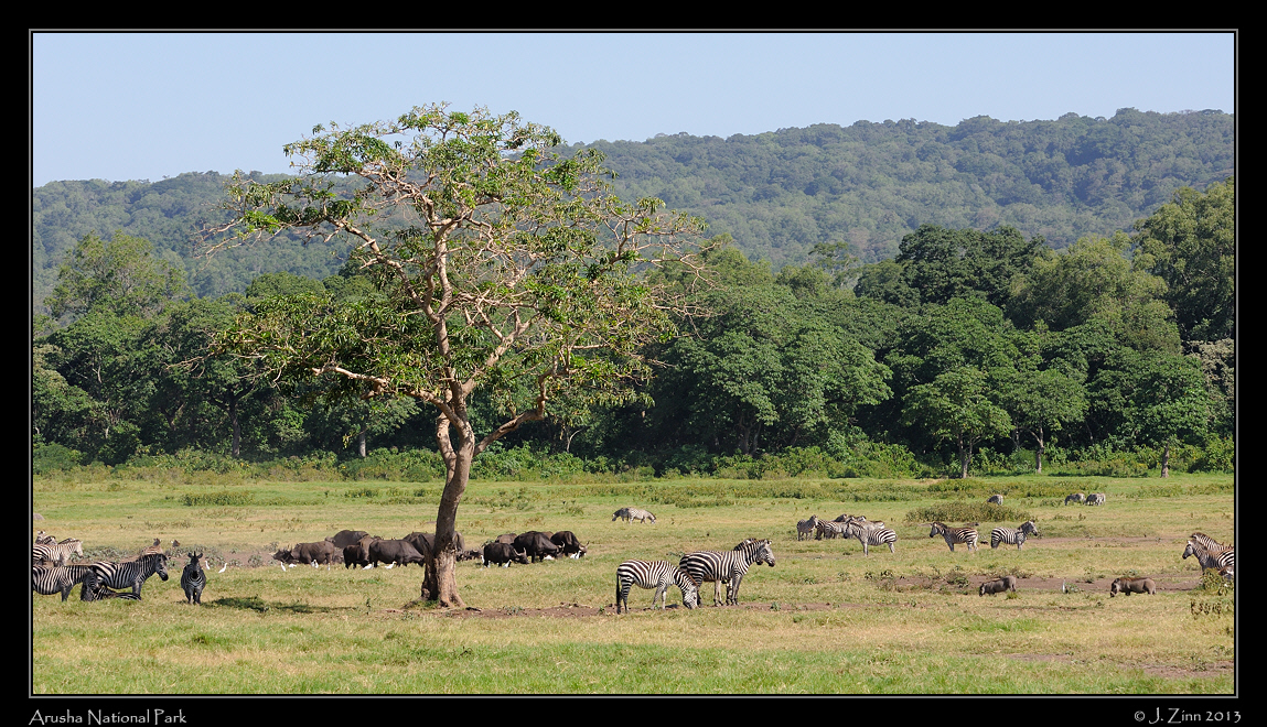 arusha_national_park_0632a