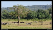  Arusha National Park � J. Zinn