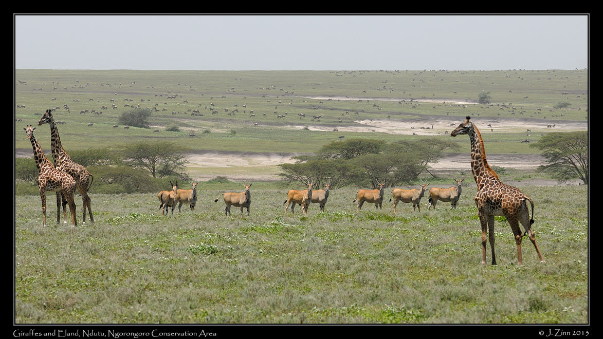eland_1327a