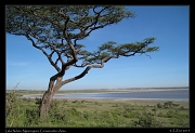  Lake Ndutu, Ngorongoro Conservation Area � J. Zinn