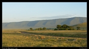  Dawn vista, Ngorongoro Crater � J. Zinn