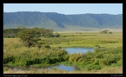  The marsh, Ngorongoro Crater � J. Zinn