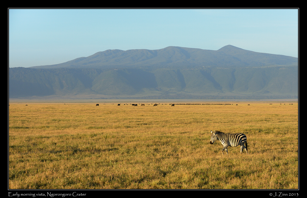 zebra_ngorongoro_0005a