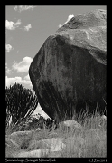  Seronera kopje, Serengeti National Park � J. Zinn