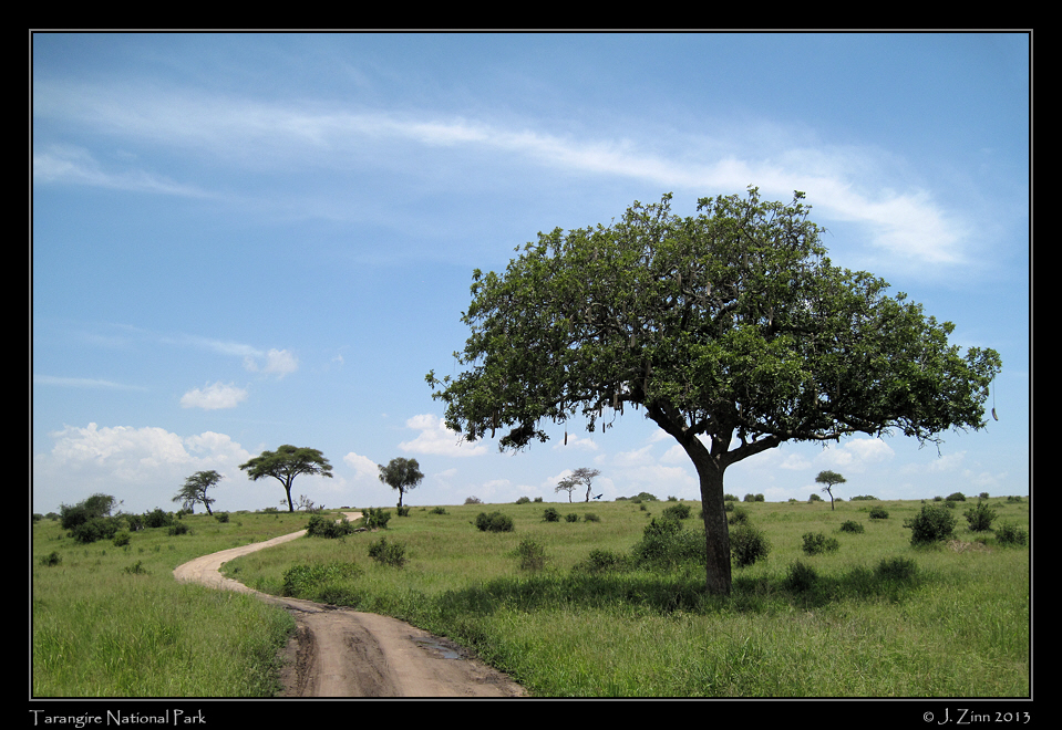 tarangire_2116a