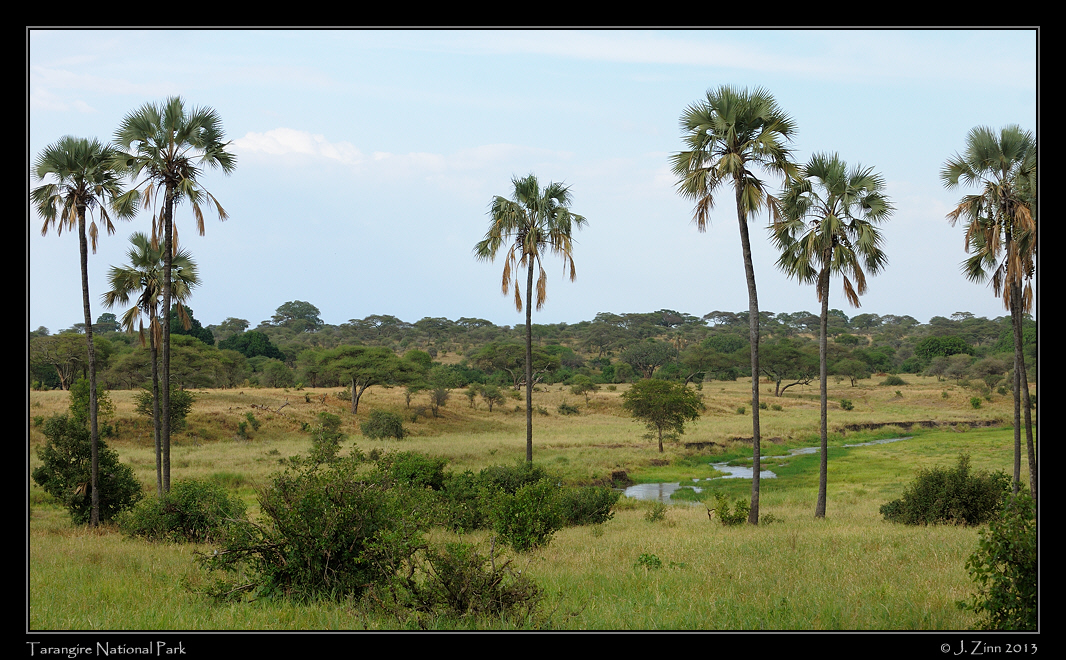 tarangire_national_park_0962a