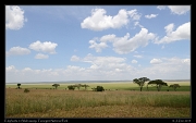  Elephants in Silale swamp, Tarangire National Park � J. Zinn