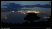  Dawn, Tarangire National Park � J. Zinn