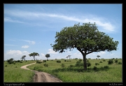  Tarangire National Park � J. Zinn