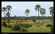  Tarangire National Park � J. Zinn