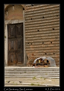  Cat Sanctuary at San Lorenzo in Castello, Venice, Italy � J. Zinn