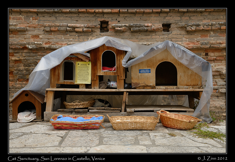 veniceJZ1_2171a