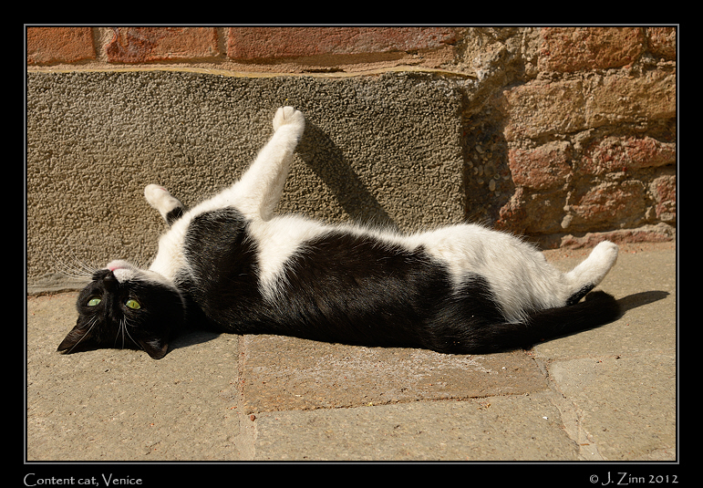 veniceJZ1_2415b