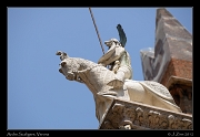  Arche Scaligere, Verona, Italy � J. Zinn