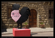  The Black Rooster, Greve in Chianti, Tuscany � Janet Zinn