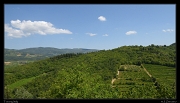  Tuscan hills � Janet Zinn