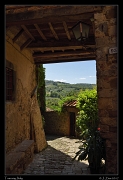  Castellina in Chianti, Tuscany, � Janet Zinn