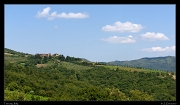  Tuscan hillside, � Janet Zinn