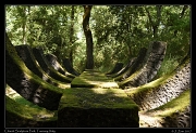  Chianti Sculpture Park � Janet Zinn