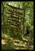  Chianti Sculpture Park � Janet Zinn