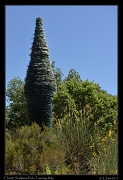  Chianti Sculpture Park � Janet Zinn