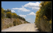  Tuscan road � Janet Zinn