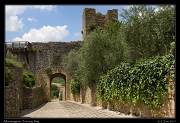  Monteriggioni � Janet Zinn