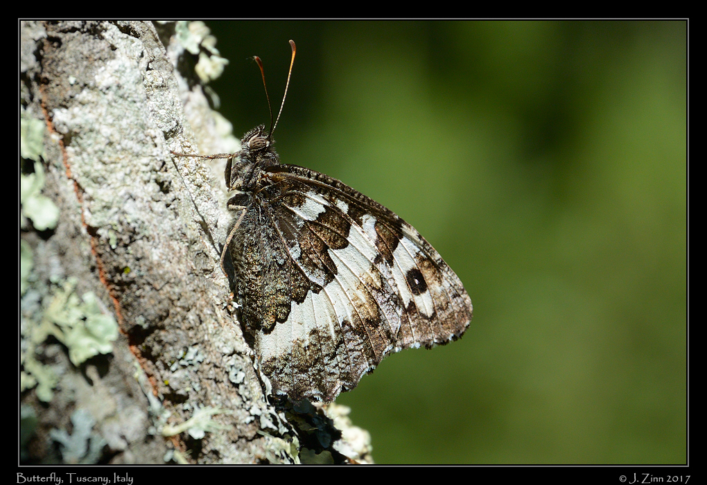 tuscany_DSC_8131a