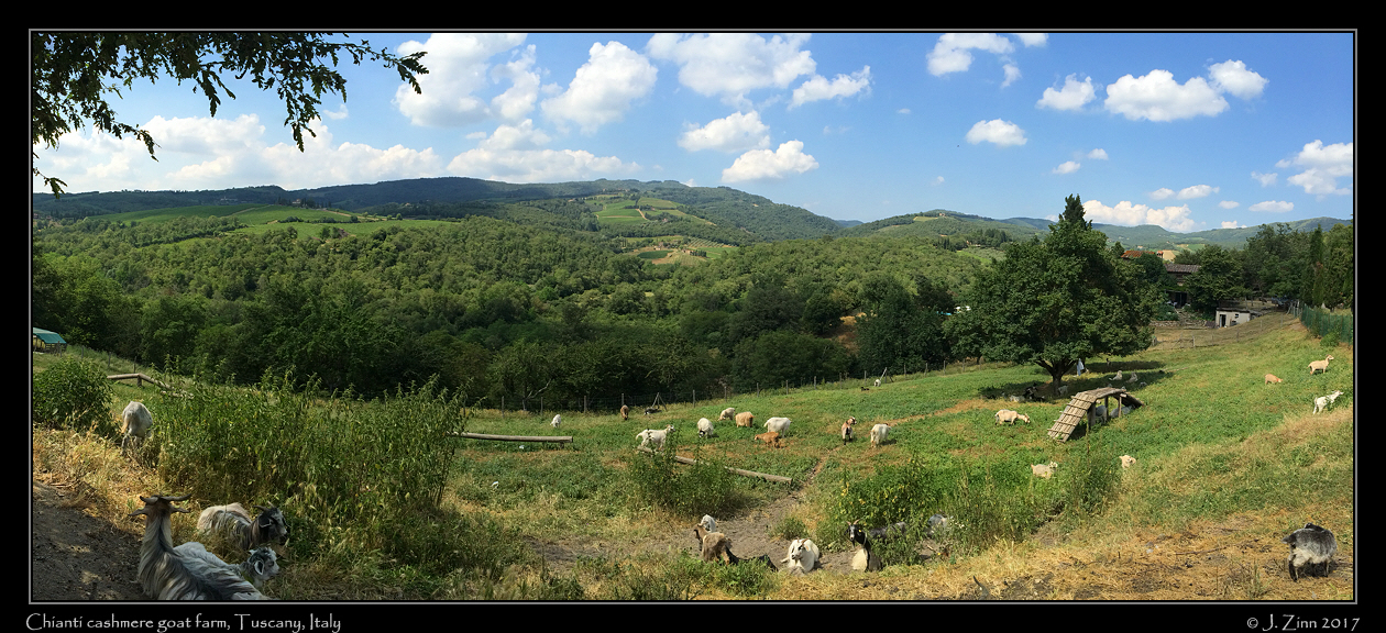 tuscany_IMG_2558a