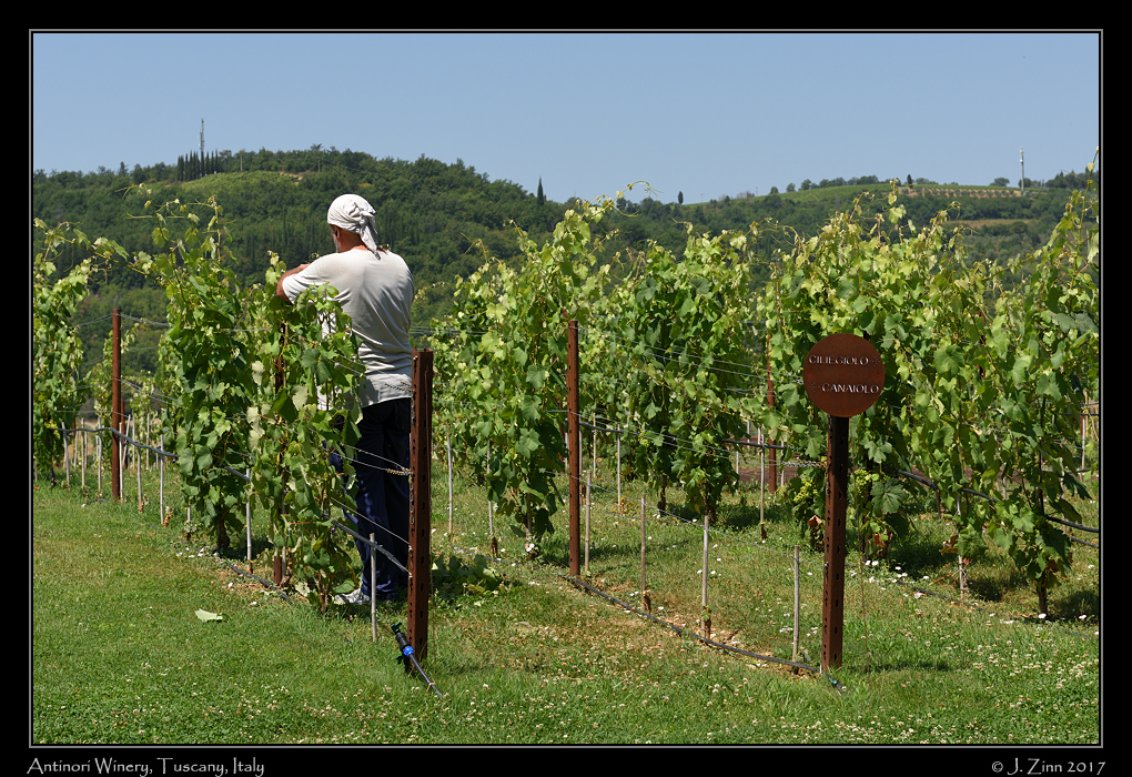 tuscany_JCZ_8627a