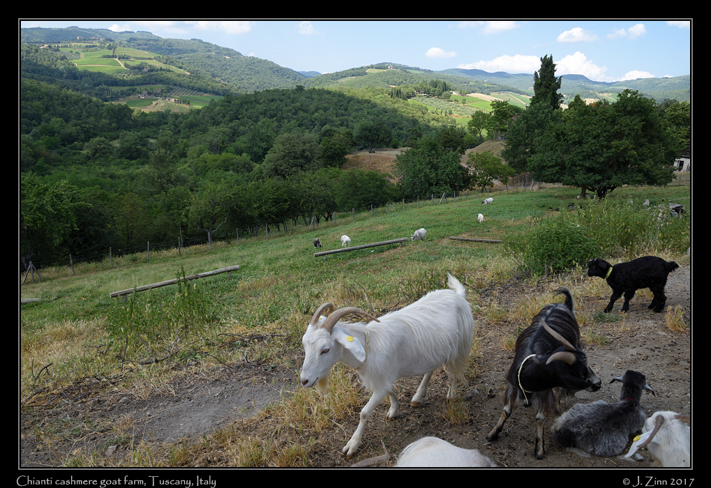 tuscany_JCZ_8719a