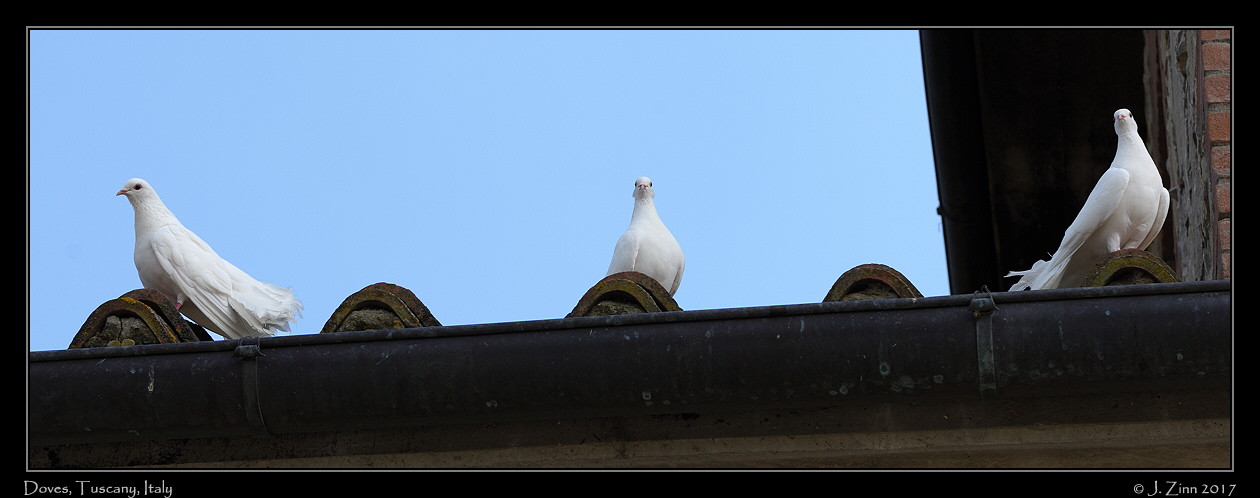tuscany_JCZ_8730b