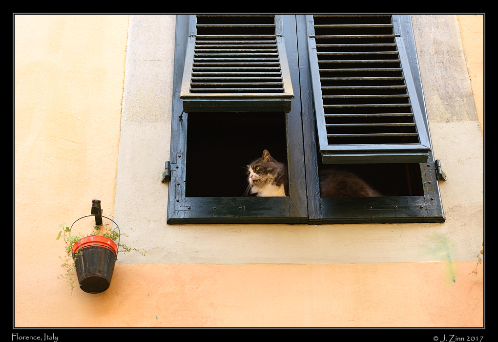 florence_JCZ_8560a