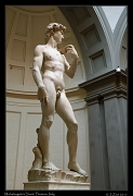  Michelangelo's David, Florence � Janet Zinn