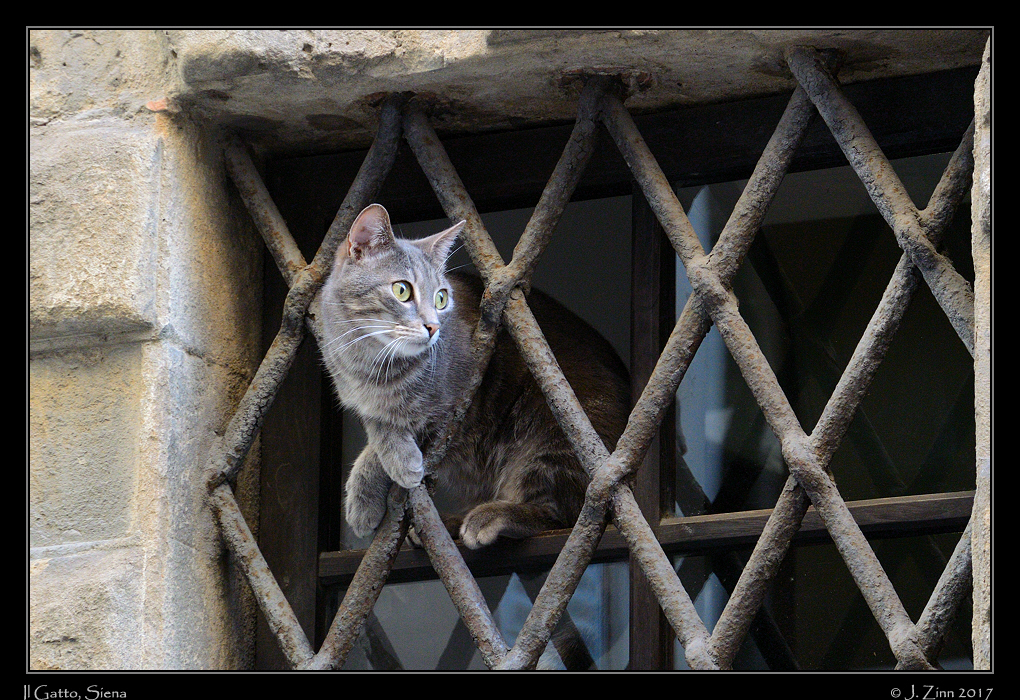 siena_DSC_8166b