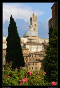  Duomo, Siena � Janet Zinn