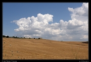 Crete Senesi, � Janet Zinn