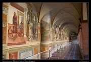  Sodoma frescos, Abbazia di Monte Oliveto Maggiore, � Janet Zinn