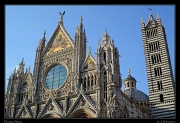  Duomo, Siena � Janet Zinn