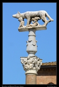  Romulus and Remus, Duomo, Siena � Janet Zinn