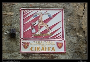  Contrada della Giraffa, Siena � Janet Zinn