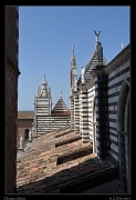  Duomo, Siena � Janet Zinn