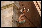  Contrada dell?Onda, Siena � Janet Zinn
