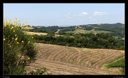  Tuscan view  � Janet Zinn