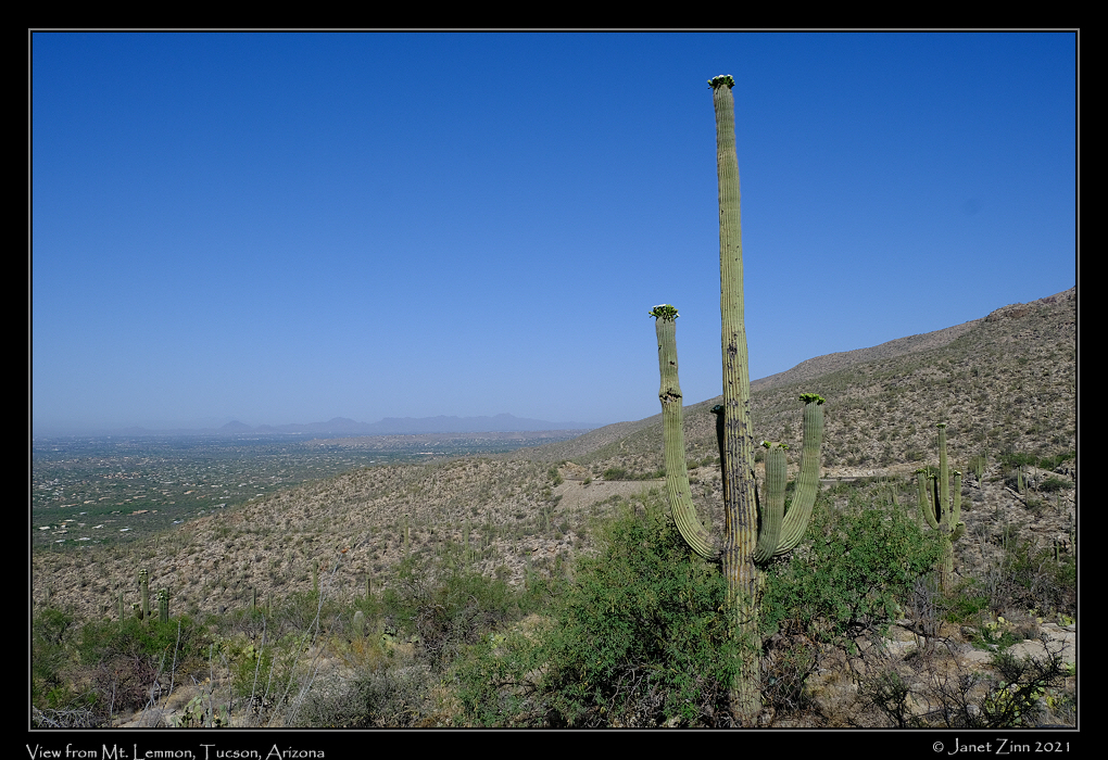 mt_lemmon_FJ302751
